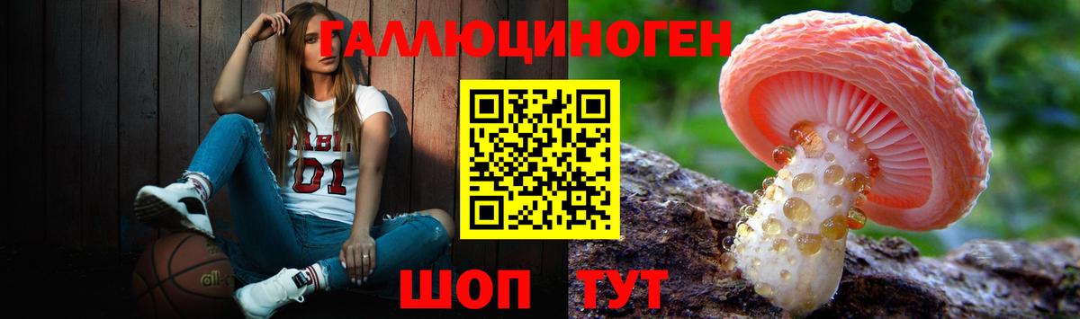 Обь  Псилоцибиновые грибы Psilocybe  Вход с VPN 